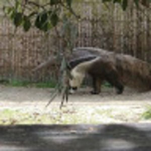 Meet your Posher, Arencther